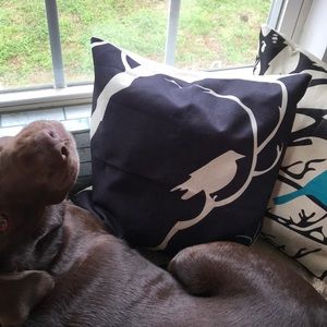 Throw Pillow cover/sealed package/never opened/NWT